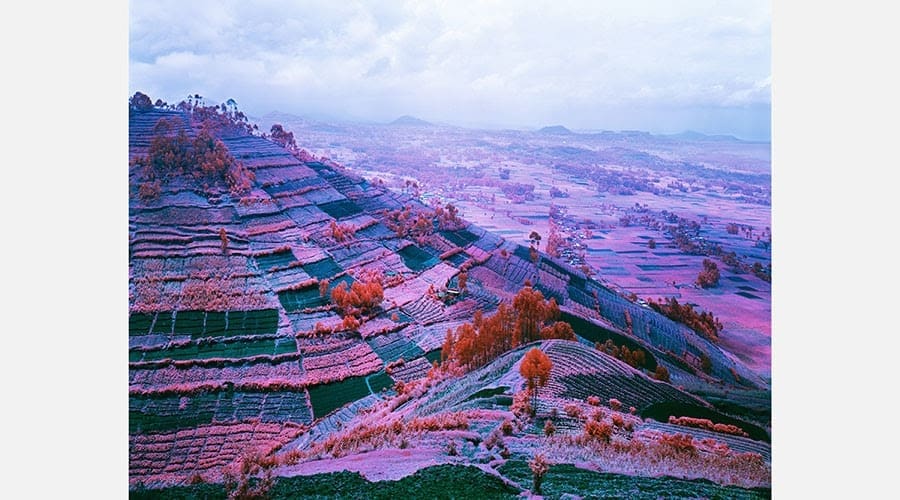 Richard Mosse: Here Come the Warm Jets, 2012 - Congo-Rwandan border (digital print)