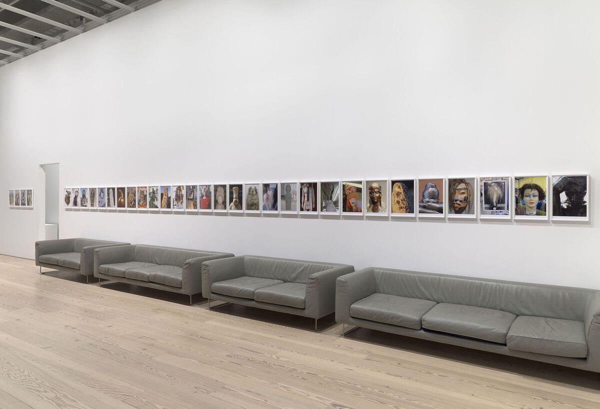 Installation view of Rachel Harrison Life Hack (Whitney Museum of American Art, New York, October 25, 2019–January 12, 2020). Voyage of the Beagle, 2007. Photograph by Ron Amstutz