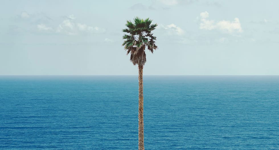 John Baldessari, Palm tree/Seascape, 2010 © The Estate of John Baldessari. Courtesy the Estate of John Baldessari and Marian Goodman Gallery, New York.