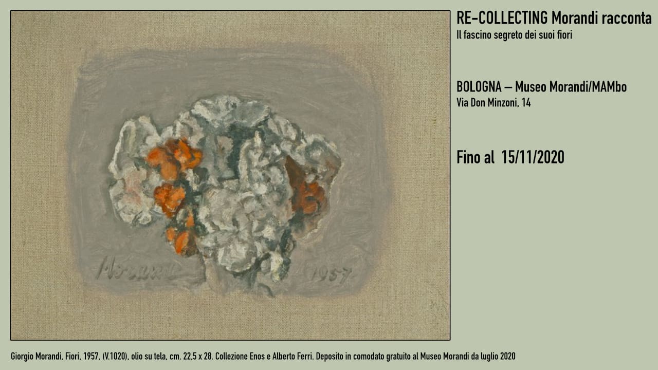 Giorgio Morandi, Fiori, 1957, (V.1020), olio su tela, cm. 22,5 x 28. Collezione Enos e Alberto Ferri. Deposito in comodato gratuito al Museo Morandi da luglio 2020