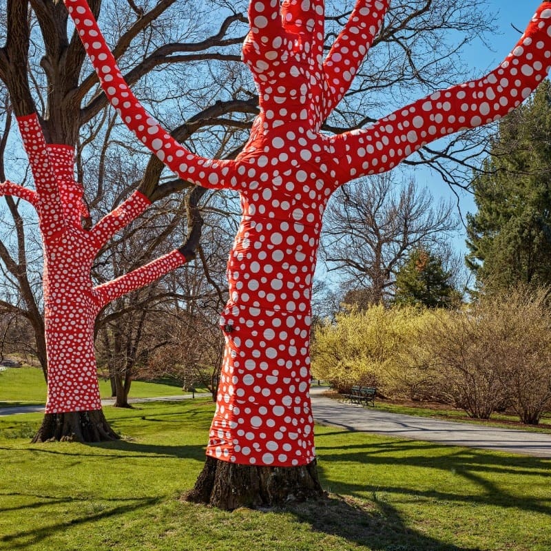 Top: Narcissus Garden forms part of the Kusama: Cosmic Nature exhibition. Above: Ascension of Polka Dots on the Trees was created by Yayoi Kusama