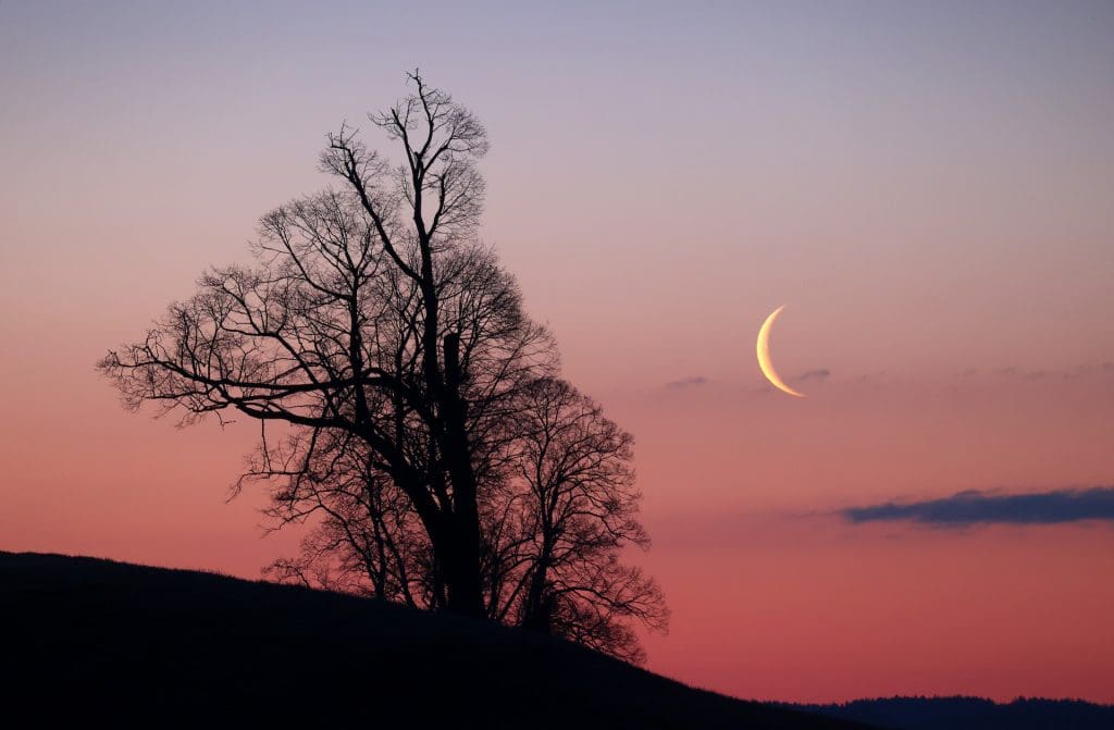 08 May 2021, Bavaria, Marktoberdorf: The crescent of the waning moon is behind a tree just before sunrise. Photo: Karl-Josef Hildenbrand/dpa