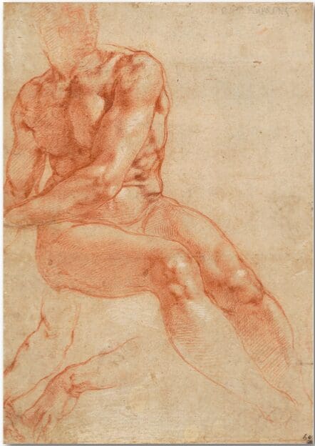 Mostra Michelangelo Vienna