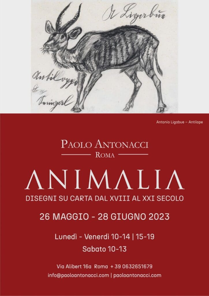 ANIMALIA DISEGNI CARTA XVIII-XXI SECOLO - ROMA – Galleria Paolo Antonacci - 25 anni galleria di Paolo Antonacci