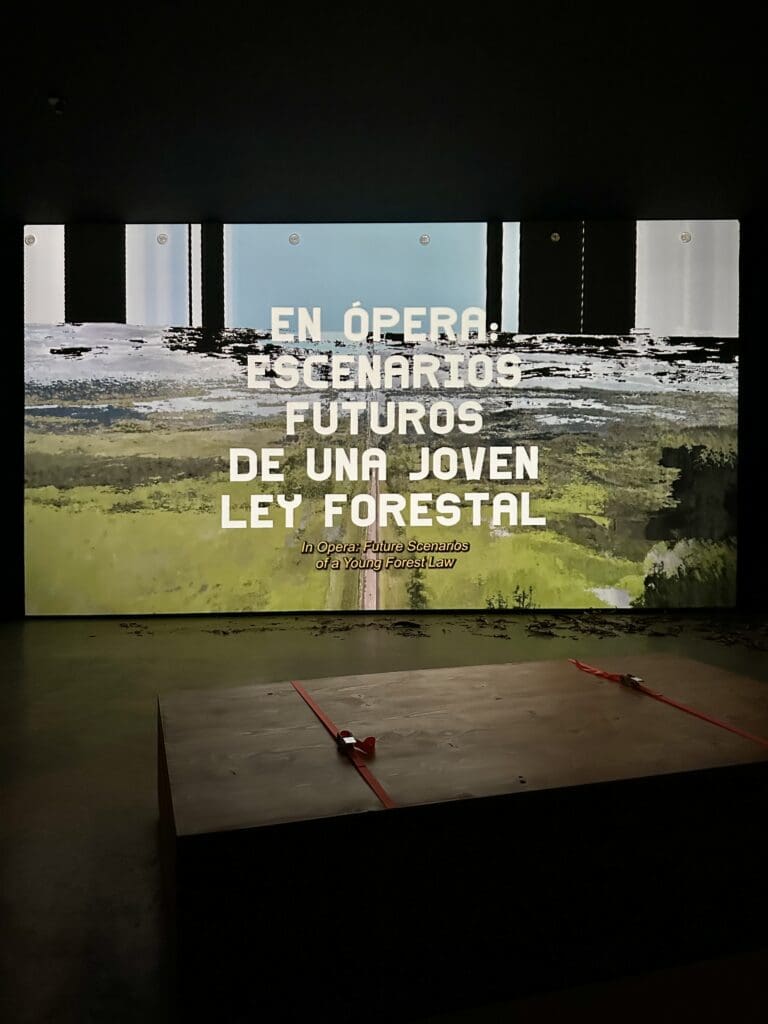 BIENNALE ARCHITETTURA 2023 - PADIGLIONE URUGUAY 2023 - En Ópera: Escenarios futuros de una joven Ley Forestal - Facundo de Almeida