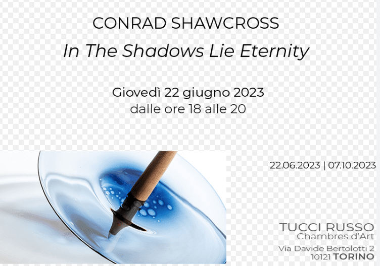 Mostra Shawcross Torino