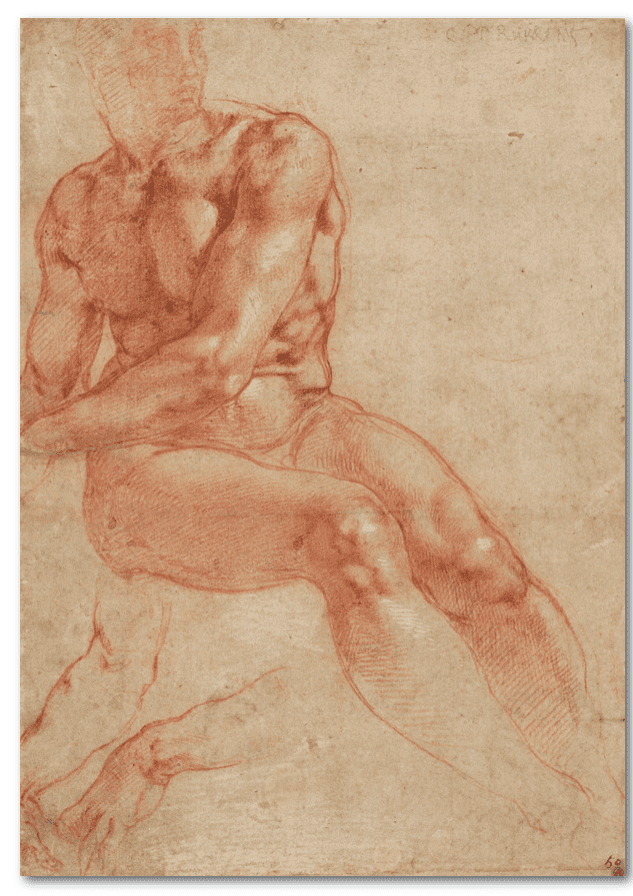 Mostra Michelangelo Vienna