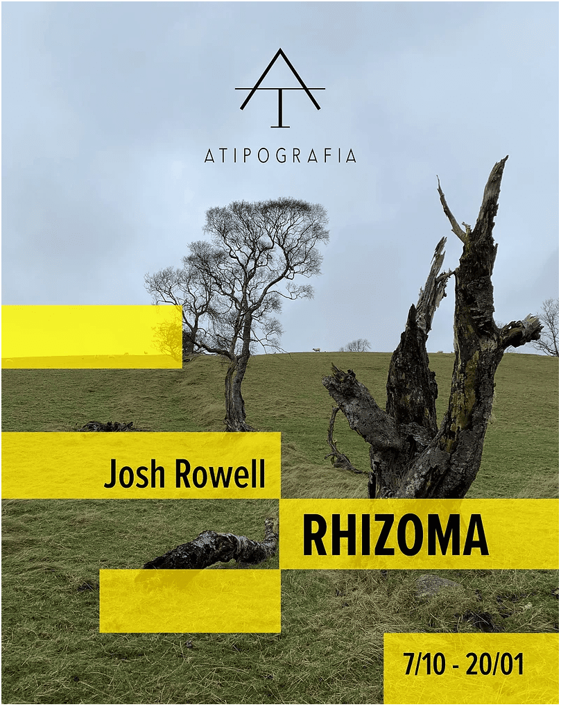 La Galleria Atipografia di Arzignano in provincia di Vicenza presenta la mostra di Josh Rowell Rhizoma, a cura di Andrea Maffioli