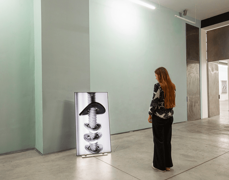 L' Associazione Barriera di Torino con Galleria Continua presenta le due mostre New Middle Class by Kan Xuan e Resonancias by Ivan Capote