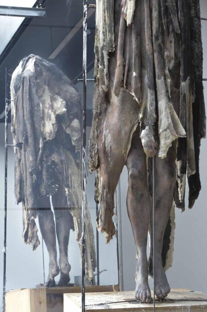 Berlinde De Bruyckere mostra a Venezia: opere d'arte che esplorano corpo, dolore e rinascita. Un evento unico alla Biennale 2024