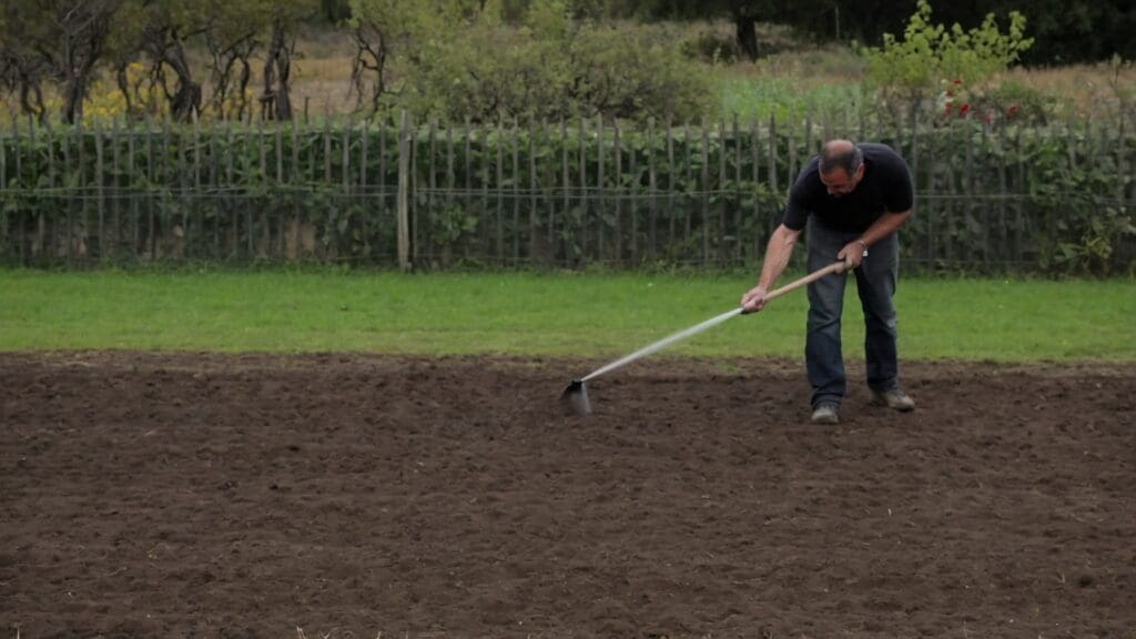Semina prato primavera: scopri come ottenere un tappeto erboso rigoglioso con la nostra guida essenziale, dall'irrigazione alla manutenzione