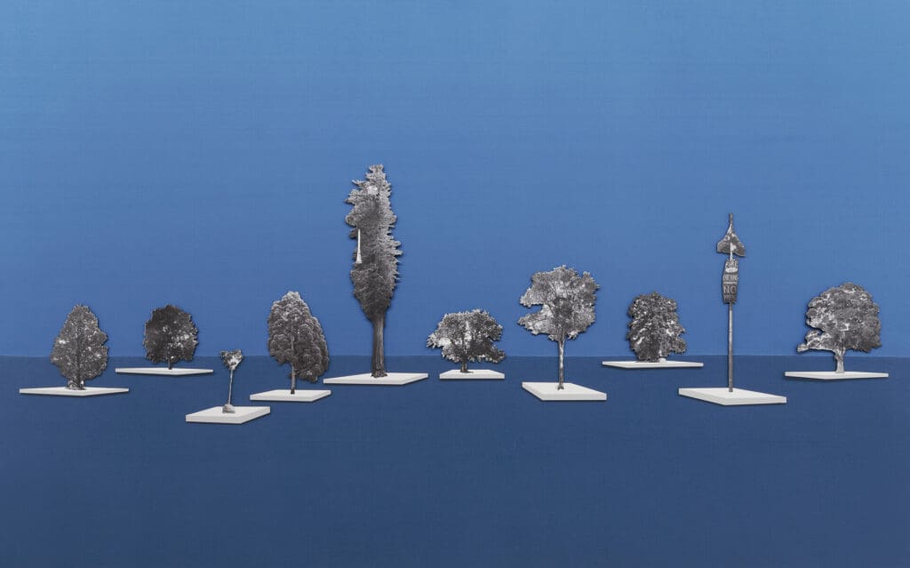 Floating Arboretum Padiglione Slovacchia alla Biennale di Venezia riflette su sostenibilità e salvataggio degli alberi