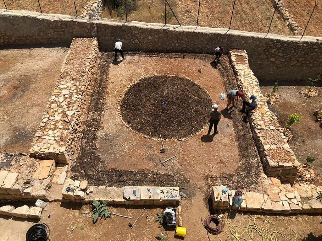 Anchor in the Landscape, un evento collaterale della Biennale di Venezia, esplora la resilienza palestinese tramite ritratti di ulivi