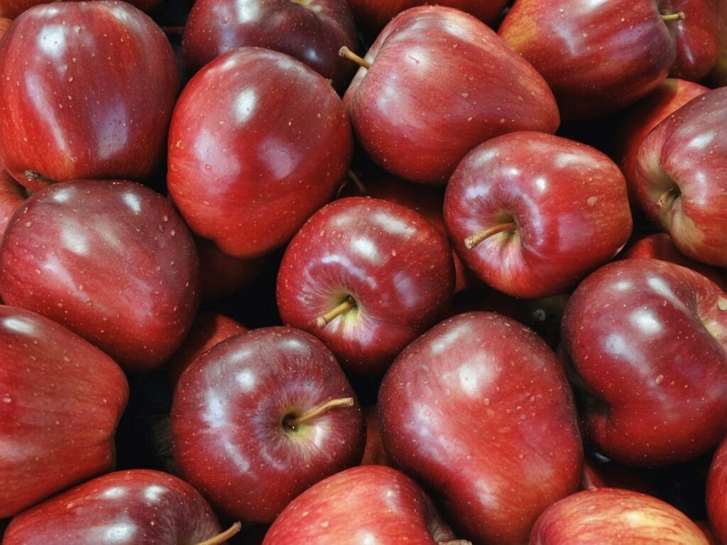 Albero di melo: varietà, coltivazione, cura e potatura. Guida completa per coltivarlo con successo nel proprio giardino o frutteto Albero di melo: varietà, coltivazione, cura e potatura. Guida completa per coltivarlo con successo nel proprio giardino o frutteto