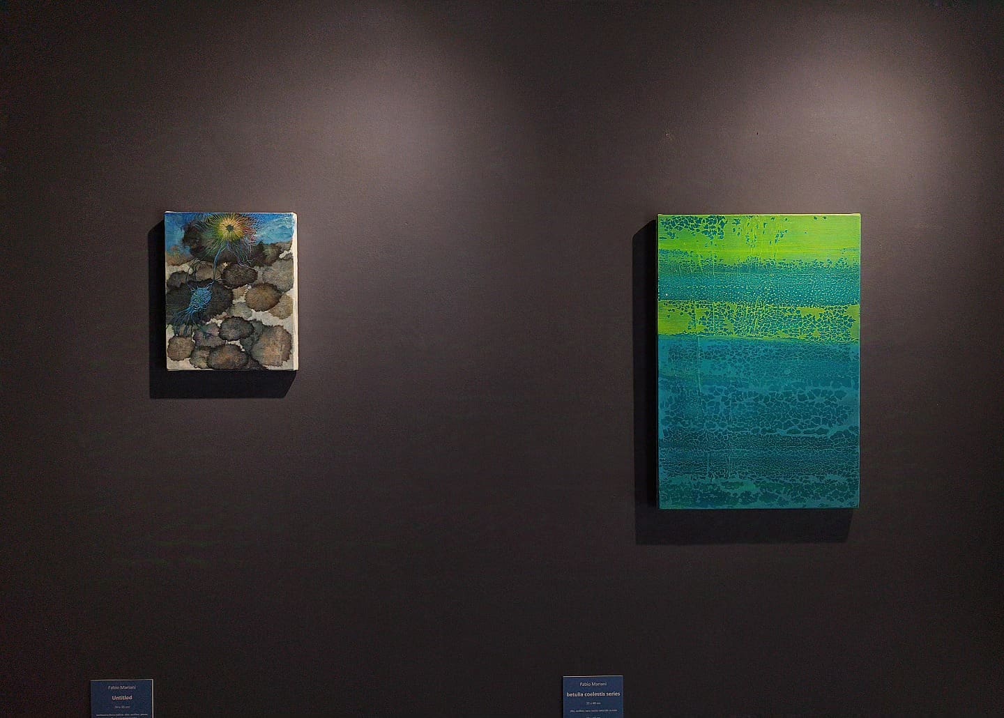 Fuzzy Blue Fenice esplora arte e tecnologia in un mondo ambiguo. Fabio Mariani riflette su futuro e realtà mutante.