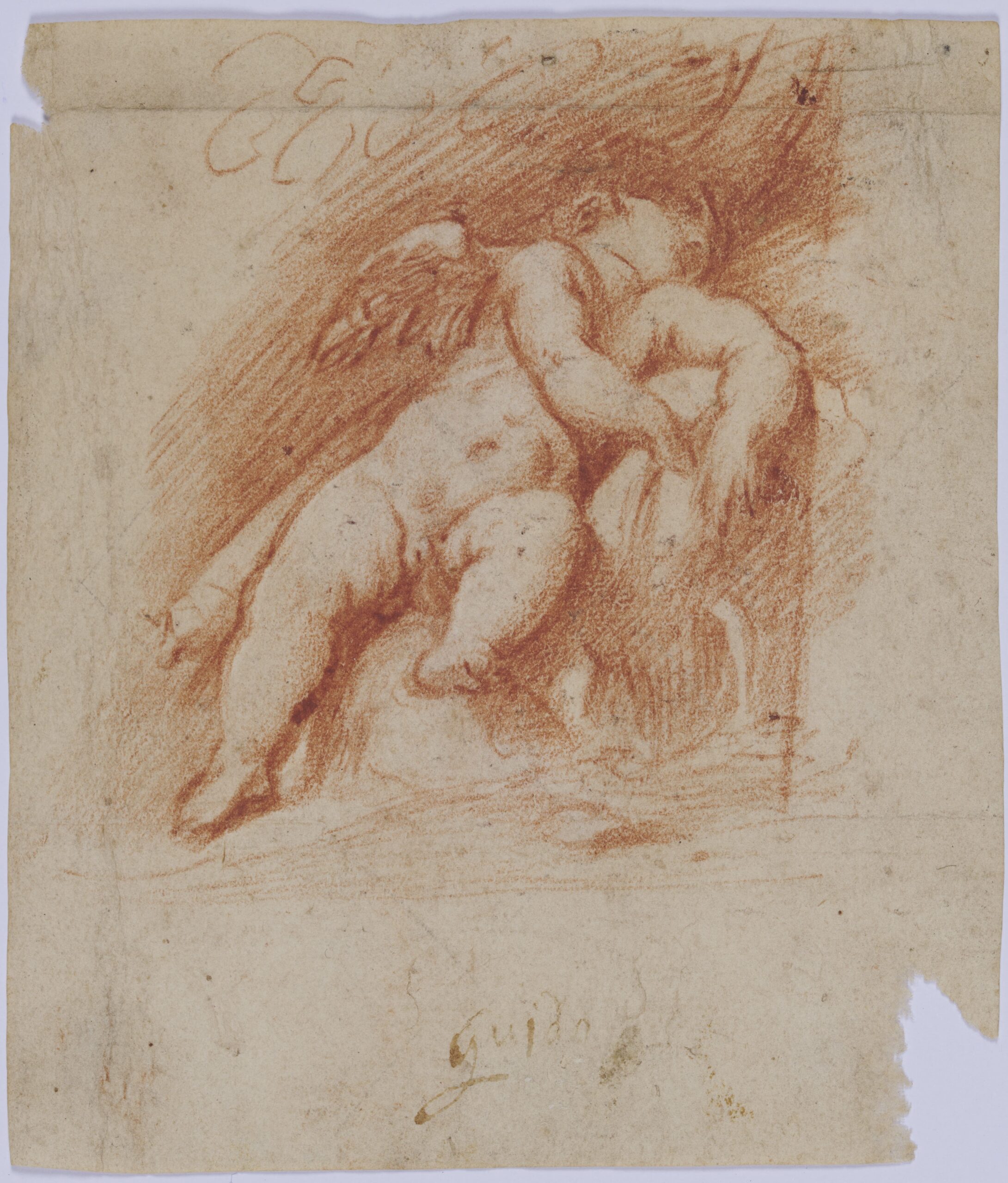 Leonor Fini a Villa Bassi: segni e invenzioni